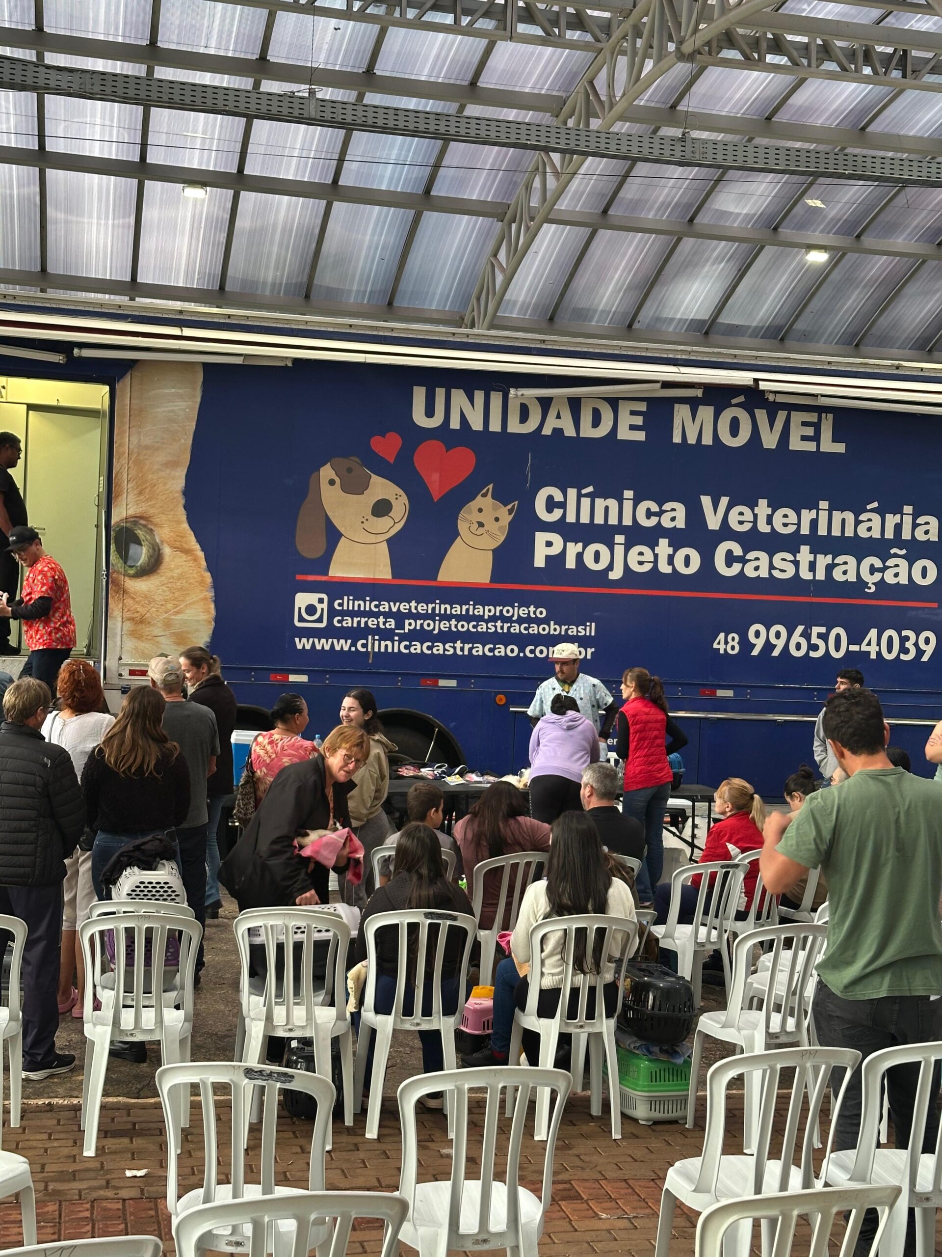 250 cães e gatos serão castrados nesta segunda-feira em São Miguel do Oeste