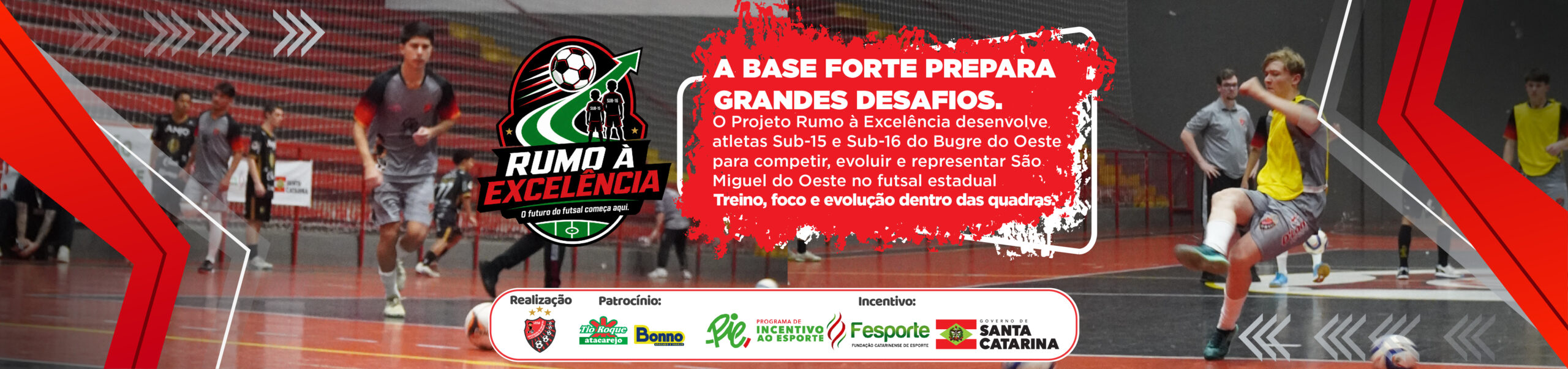 PIE – Rumo à Exelência