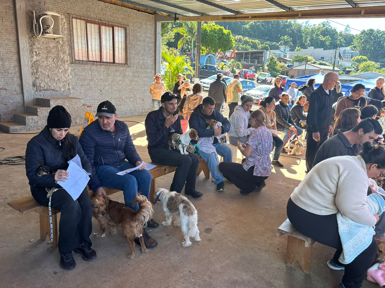 Descanso realiza segunda edição do programa de castração e microchipagem de animais