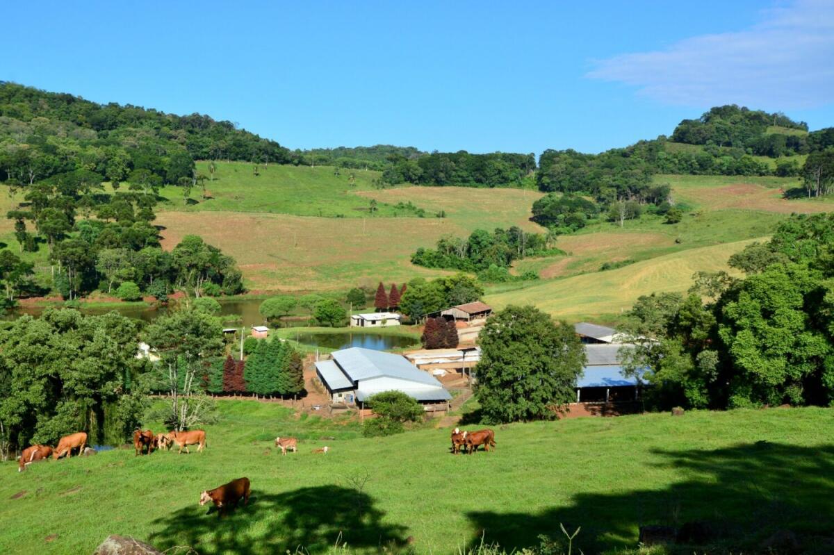 Santa Catarina reforça ações para reduzir impactos do El Niño na agricultura e na pesca