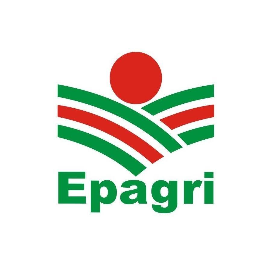 Capacitações geram permanência de jovens no agronegócio, diz Epagri